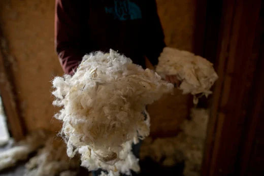 The Life Cycle of Our Wool: From Farm to Bedroom