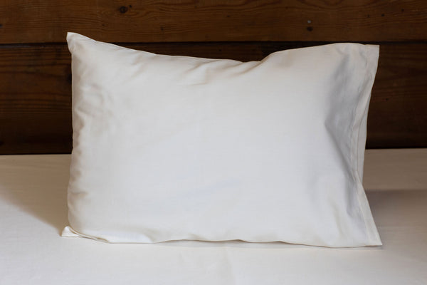 All-Natural Travel Pillow image 1