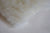 Holy Lamb Organics Samples - Product Samples