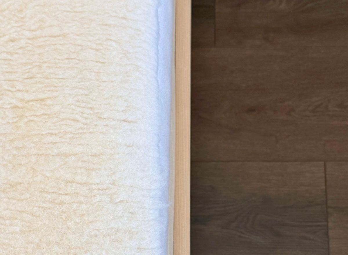 Polar de cordero feliz