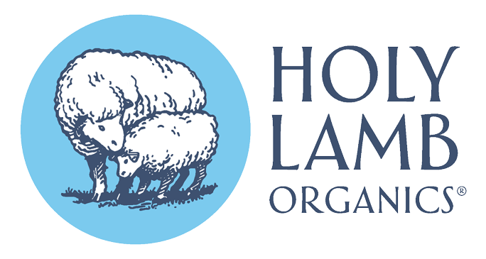 Holy Lamb Organics Certified Organic Wool Bed Pillows
