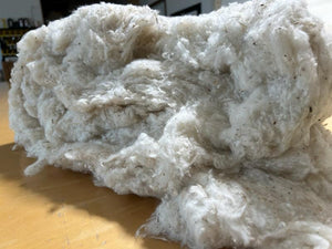 Holy Lamb Organics Cotton Batting Scrap - 1 lb Raw Materials