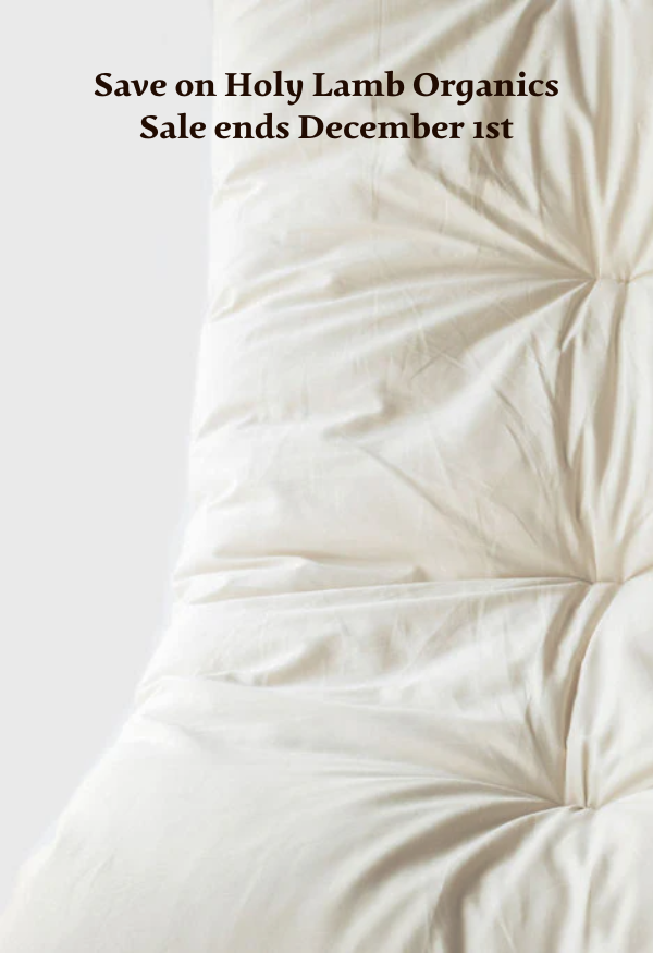 Don't miss our Black Friday Sale!