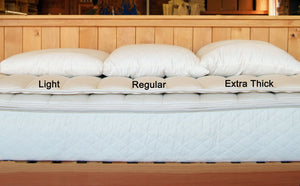 Holy Lamb Organics All-Natural Wool-Filled Bed Pillows / staff
