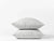 Coyuchi Fog Organic Relaxed Linen Sheet Set