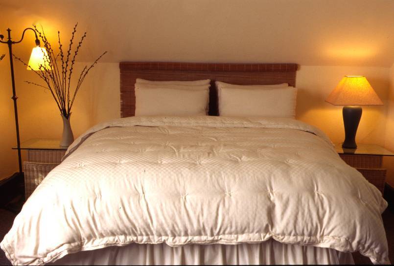Holy Lamb Organics Natural Dual-Weight Comforter - Clearance