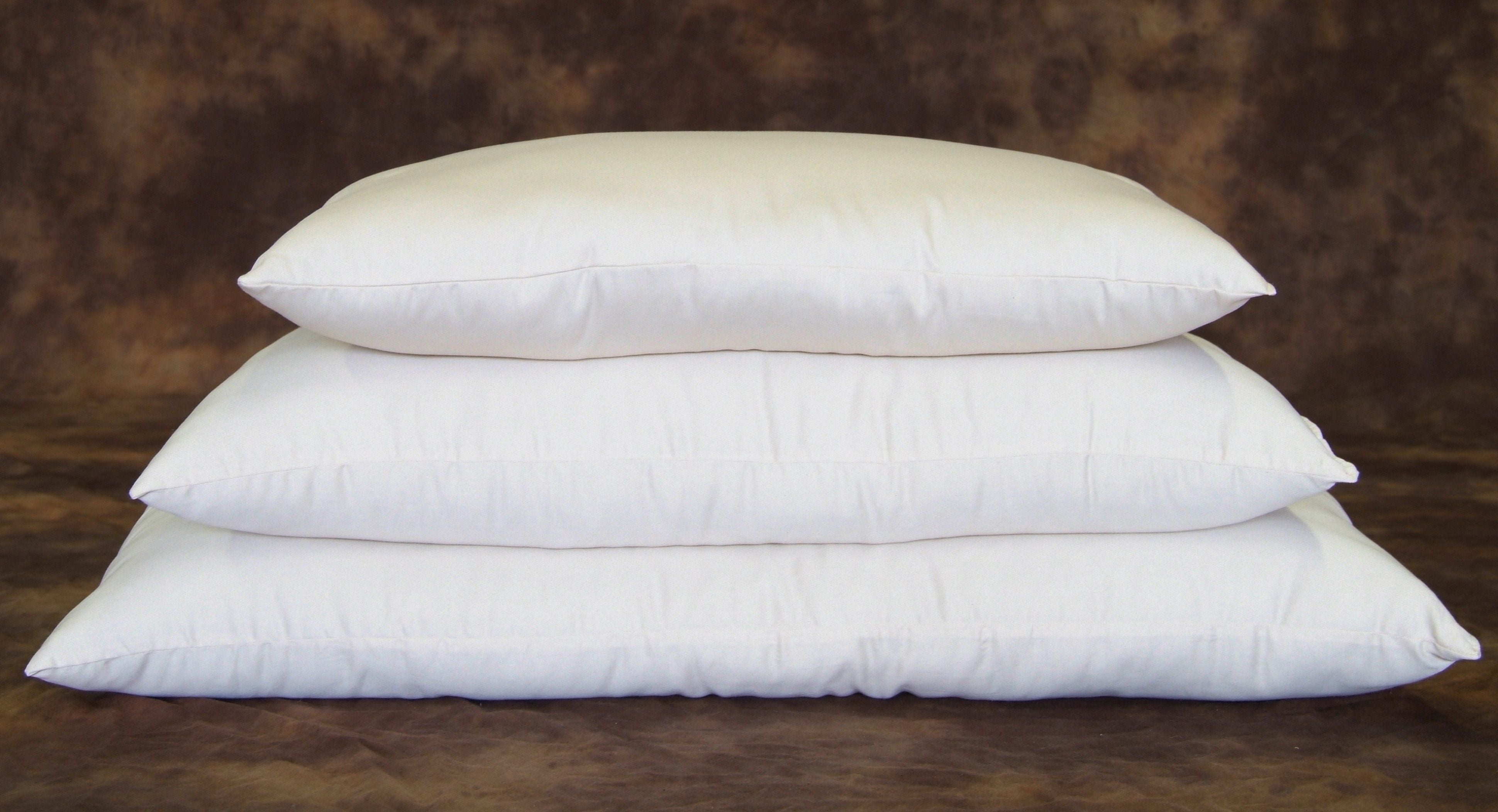 Wool Decorative Pillow Inserts - EntirelyEco  Organic Pillows, Organic  Bedding, Organic Towels