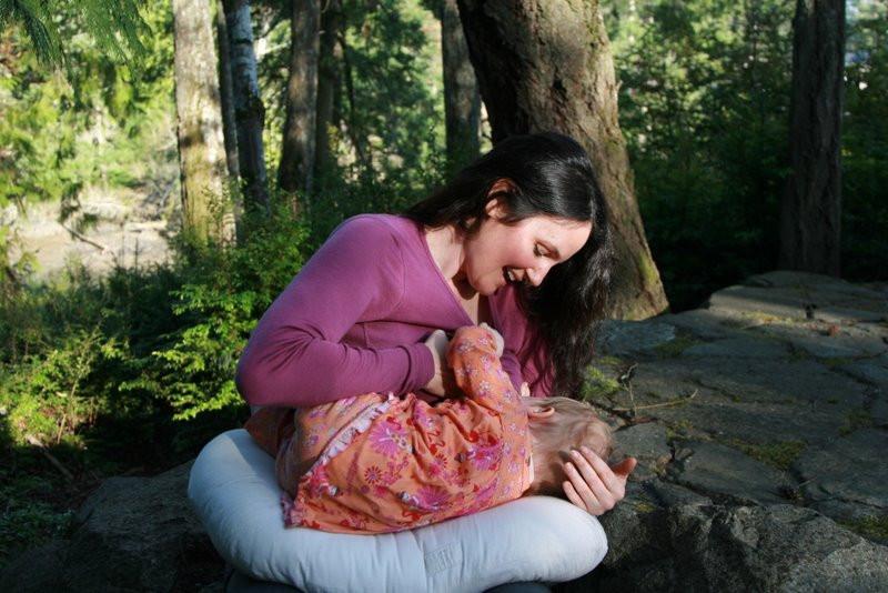 All-Natural Nursing Pillow - Bo Peep - Holy Lamb Organics