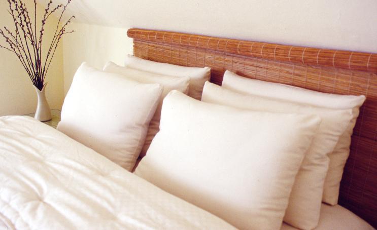 Holy Lamb Organics All-Natural Wool-Filled Bed Pillows