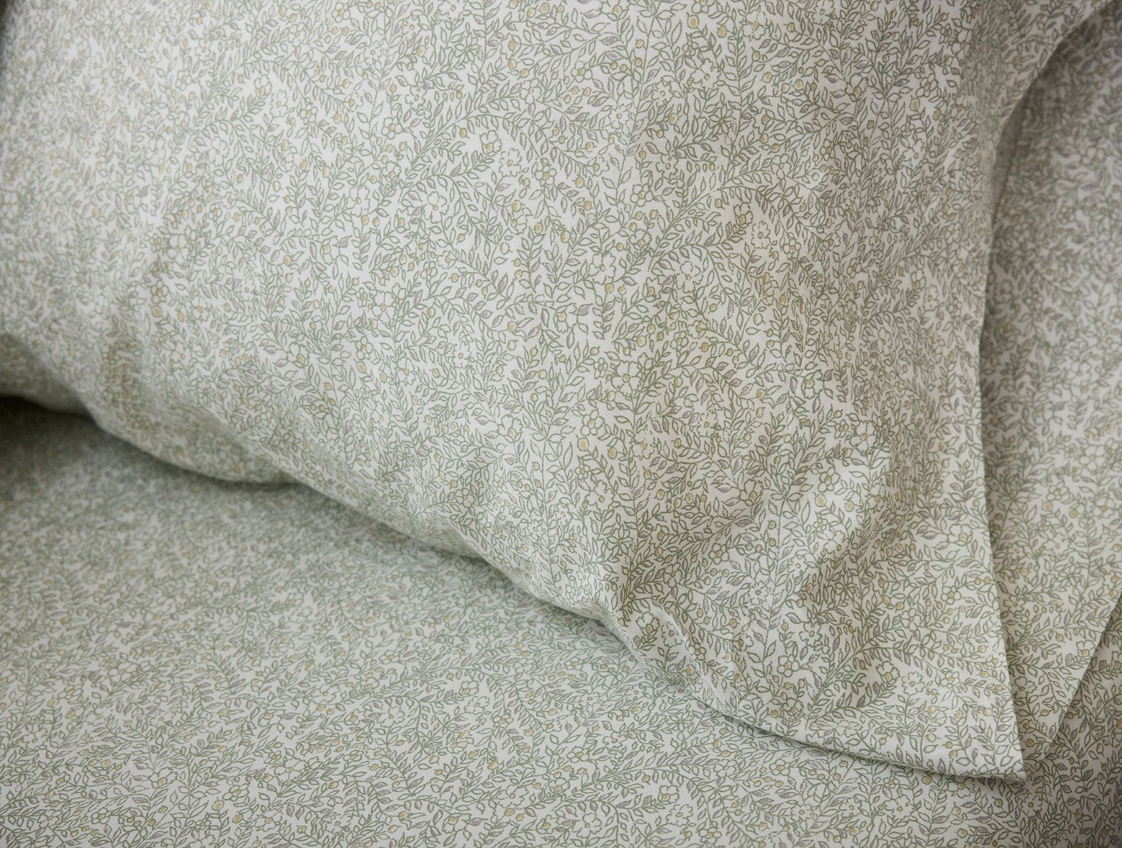 Cloud Brushed™ Organic Flannel Sheet Set – Coyuchi